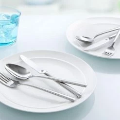 Top 10 🔥 BK Waal Bestekset - 50 Delig - 6 Persoons 🧨 -T-fal winkle 550x366 13